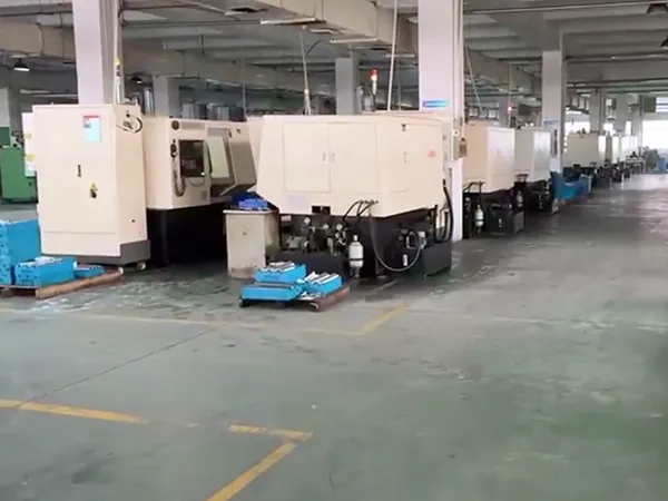 OEM Customization