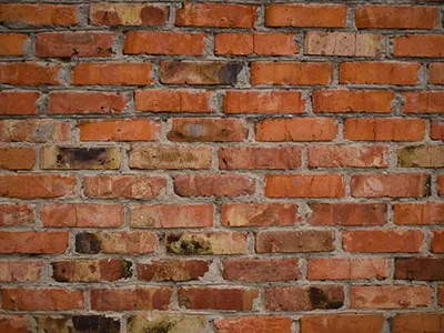 Wall Chaser