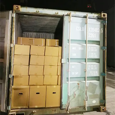 Manual Permanent Magnetic Lifter