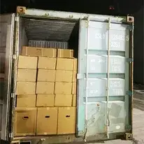 Manual Permanent Magnetic Lifter